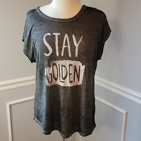 AERIE Real Soft Tee Gray Marled Stay Golden Graphic Semi-Sheer Scoop Neck Tee M - Picture 1 of 8